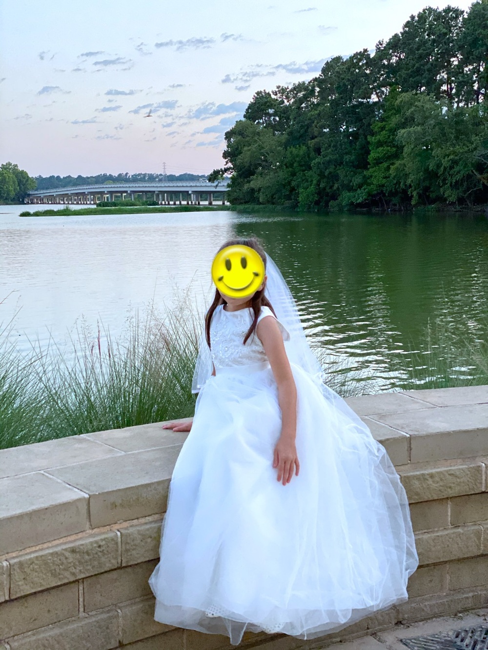 Girls White Embroidered Tulle Flower Girl Dress - Picture 7 of 7